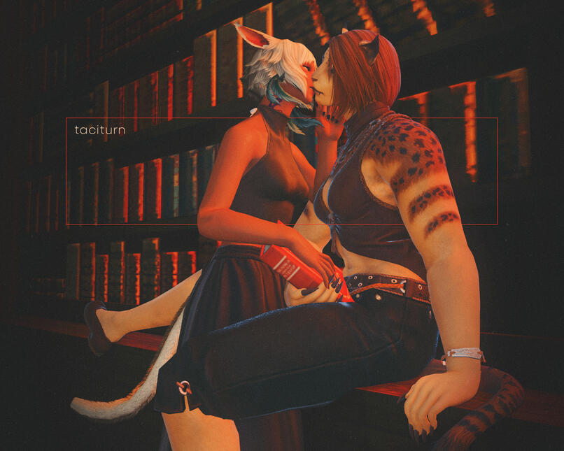 A taciturn distraction amongst the stacks of Noumenon.