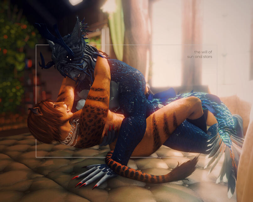 the will of sun and stars